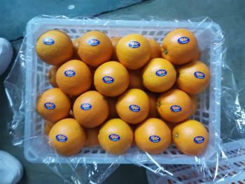 Premium Chinese Fresh Oranges for Export with Superior Sweet Flavor - Super vegetables and fruits CO - China