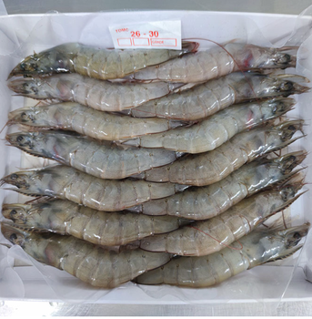 Frozen Vannamei Shrimp HOSO Grade A - Green Bowl Vietnam - Vietnam