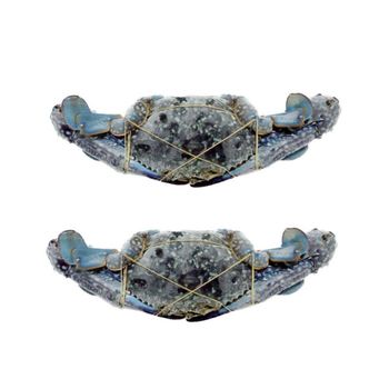 Frozen Whole Round Blue Swimming Crab Portunus Pelagicus Seafood Best Quality from Indonesia - PT ANDALAN EKSPOR INDONESIA - Indonesia