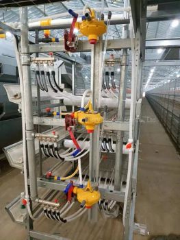 Automatic Feeding and Water for Broiler Chicken Cage H Type Cage System 3 Tier 4 Tier Poultry Cage Equipment System - Shandong Gofee Husbandry Technology Co., Ltd. - China