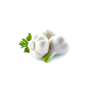 Bulk supply of Fresh Garlic harvested and shipped under strict quality control - CHHC AGR0-CHEMICAL PRODUCTS WHOLESALING - Philippines