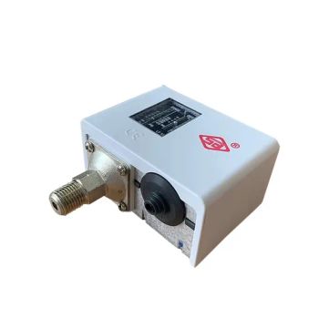 Original 30 Bar Pressure Switch Kp1 for Shangair & Other Piston Compressors - Shandong Dassaw Import and Export Co., Ltd. - China