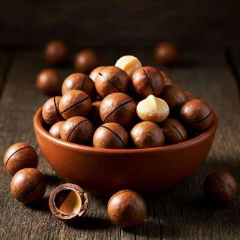 Fast Delivery Raw Dried Macadamia Nuts Bulk Supply Wholesale Premium Quality Healthy Snack from CPW TRADE LTD Fast Delivery Raw Dried Macadamia Nuts Bulk Supply Wholesale Premium Quality Healthy Snack - CPW TRADE LTD - United Kingdom