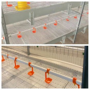 Poultry Raising Equipment: Raisetech Automatic Chicken Coop - Raisetech Co., Ltd. - China
