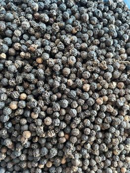 Black Pepper – product photo, Refined Black Pepper products found from trusted suppliers, wholesalers, manufacturers & exporters Listing