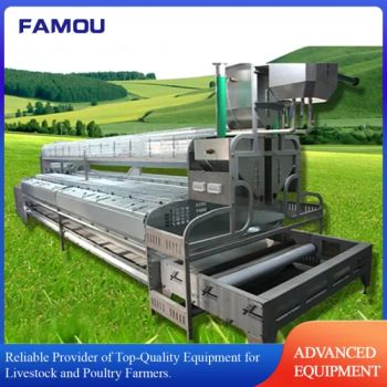 Livestock and Poultry Breeding Equipment Automated Raising Machinery Plastic Floor PP Maure Belt Nipple Drinker Rabbit Cages with Automatic Feeding System - Qingdao Famou Machinery Co., Ltd. - China