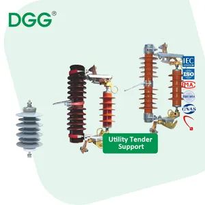 Dgg 18kv Lightning Surge Arrester for Medium Voltage Overhead Lines - Denggao Electric Co., Ltd. - China