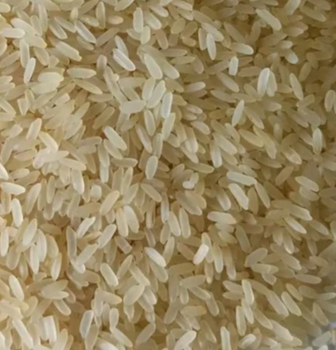 IR64 Paraboiled Rice - ocen7 - India