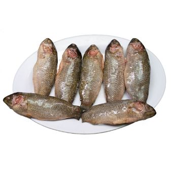 Frozen climbing perch fish Cold Storage from Vietnam Vendor high quality natural taste long shelf life - HP SEAFOOD IMPORT EXPORT TRADING SERVICE CO., LTD - Vietnam