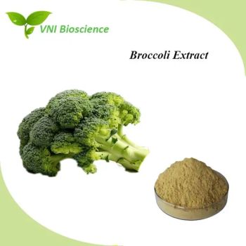 Manufacturer Supply Natural Broccoli Extract for Improve Immunity - Qingdao Vital Nutraceutical Ingredients Bioscience Co., Ltd. - China