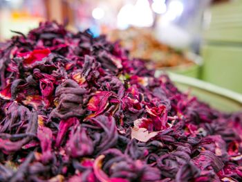 Hibiscus flowers - Sahaab global trading limited - Nigeria