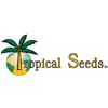 Product - TROPICAL SEEDS BV - Netherlands