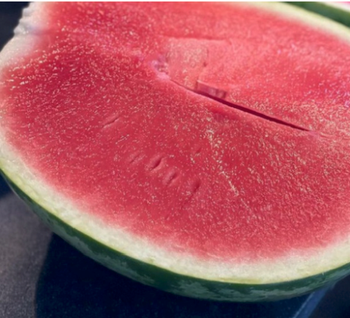 SEEDLESS WATERMELON from ART LOG MAROC SEEDLESS WATERMELON - ART LOG MAROC - France