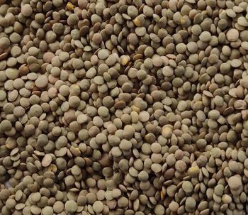 Green Lentils from AGROTRAKIA INTERNATIONAL TRADE OOD Green Lentils - AGROTRAKIA INTERNATIONAL TRADE OOD - Bulgaria