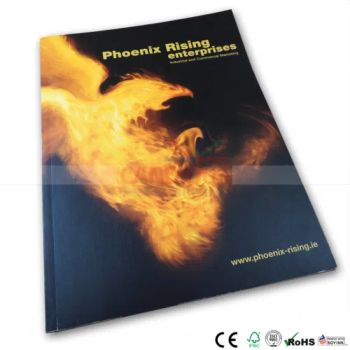 Quality Catalog Printing Brochure Booklet Commercial Printing - SHENZHEN CANDIDUS PRINTING GROUP CO., LIMITED - China