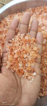 himalayan crown exports - Himalayan Crown  Exports - Pakistan