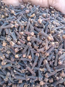 Spices Supplier Wholesales Natural Dried Whole Cloves in Good Price Dry Cloves for Food whatsap +255787979235/ 255762500052 - AL JABLI TRADING COMPANY LIMITED - Tanzania