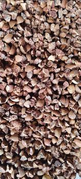 Betel Nut - Solanki enterprises - India
