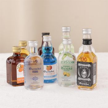 50ml Mini Liquor Wholesale Premium Vodka/Whiskey/Rum Set 24pcs/Box - OEM Accepted for Convenience Store - EcoRoma GmbH - Germany