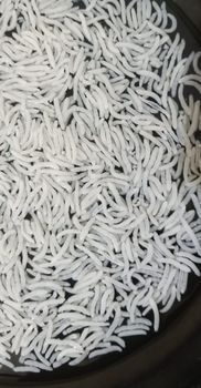 Finest Indian 1121 Basmati Rice: Non-sticky, long slender grains, unmatched fragrance, perfect for biryani and fine dini - ANS EXIM ENTREPRENEUR - India