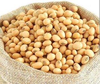 Red palm oil, White & Red sweet potato, Matoke, Soyabeans, Sweet honey brown beans, - Lordafrique AB - Sweden