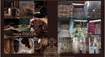 Cocoa powder from ASM Cocoa powder - ASM - Indonesia