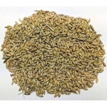 Animals  Feed - Zabs Holdings - South Africa
