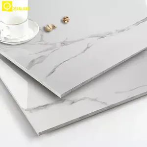 Good Building Materials Ceramic Tiles Flooring From China MOQ 1X20'gp Color White Size 600*600mm Thickness 9.5mm Surface - Foshan Oceanland Ceramics Co., Ltd. - China