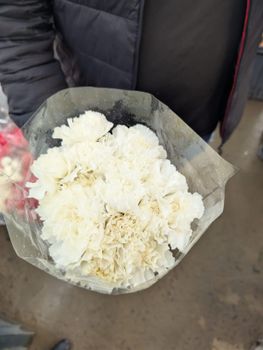 Carnations Fresh cut premium colombian 75cm + select fancy - Magic Flowers Colombia SAS - Colombia
