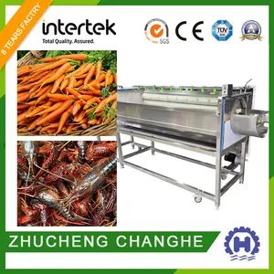 Yam Lotus Root Potato Hair Roller Cleaning Peeling Machine - Zhucheng Changhe Machinery Technology Co., Ltd. - China