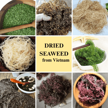 Premium-Grade Dried Seaweed from Vietnam - Nutritious & Versatile Grade-Export - VIET FARGIMEX COMPANY LIMITED - Vietnam