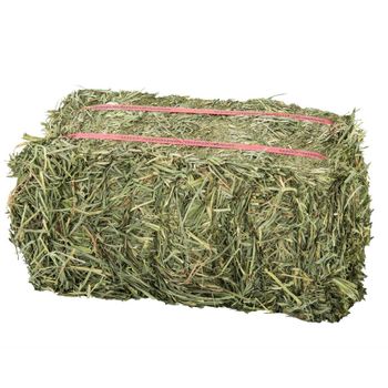 Nutrient Rich Alfalfa Hay For Animal Feeding Delivering Balanced Protein Fiber And Energy Content - TOSOH INTERNATIONAL - South Africa