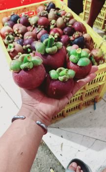 Mangosteen fresh fruit Total Baskets 2,160 Baskets Per Pallet 90 Pallets Per Container 24 Quotation Validity 7 Days Payment Method Bank Transfer - PT LAUT INDO CEMERLANG - Indonesia