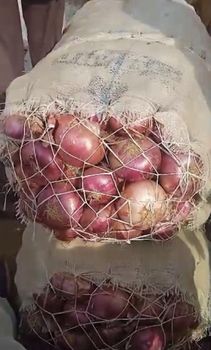 RED ONOINS Type Red onions Size 55mm - 75mm Features Organic Place of Origin Nigeria Brand Name Alef's onions Max. Moisture (%) 13%- 14% - Alefzuriel - Nigeria