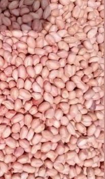 New Dried Peeled Groundnut  - Sddtif Logistics Ltd  - Nigeria