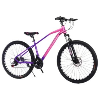 20 Carbon Steel Bike Aluminium Alloy Handlebar and Mechanical Disc Brakes - Xingtai Yuelan Trading Co., Ltd. - China