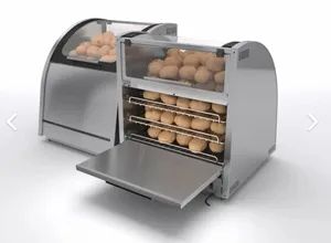 Eye-Catching Food Display Racks for Supermarket Product Promotion - Guangdong Dingling Intelligent Technology Co., Ltd. - China