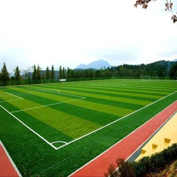 Non-Infill Football Grass Synthetic Turf Artificial Grass for Standard Sports Field - Saintyol Sports Co., Ltd. - China