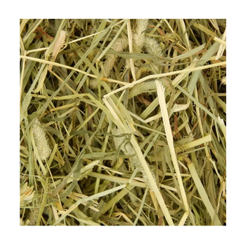 Fresh Timothy Hay 100% Natural Green Grass For Daily Feeding Of Livestock And Small Pets - THE GREEN INTERNATIONAL LIMITED - Tanzania