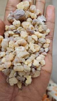 Ethiopian Olibanum gum Form Resin Material Other Origin Ethiopia Source Ethiopia And Africa's Rich Flora Application Natural Resins And Oils In Agriculture, Food, And Beverage - Enkupanet agro trading plc - Ethiopia
