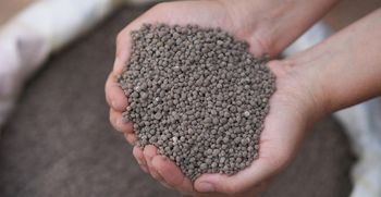 100% High quality DAP (Diammonium Phosphate) Hygroscopicity Low Common Crop Types Cereals, Vegetables, And Fruit Trees Moisture Content 2.5% Maximum - BF GLOBAL TRADING (PTY) LTD - South Africa