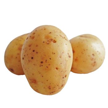 Potato Farm Wholesale Fresh Holland Potatoes Fresh Yellow Skin Potatoes With Lowest Price From Bangladesh – product photo, Potatoes products found from trusted suppliers, wholesalers, manufacturers & exporters Listing