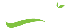 Product – product photo, Melon products found from trusted suppliers, wholesalers, manufacturers & exporters Listing