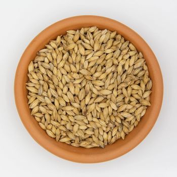 High Quality Malt Barley Available For Bulk Purchase And Commercial Use - MASI TRADING GMBH - Germany