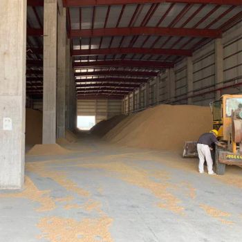Efficient Carbon Fiber Carbonization Furnace with Combined Heat and Power (CHP) Solution System Industrial Equipment - Wuxi Powermax Renewable Energy Technology Co., Ltd - China