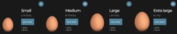 Chicken Eggs. Fresh. From the biggest producer in Europe. – product photo, Fresh Halal Chicken products found from trusted suppliers, wholesalers, manufacturers & exporters Listing