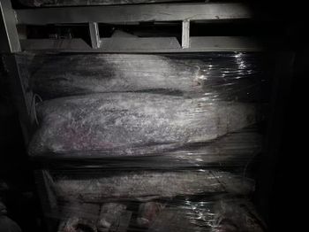 Frozen Oilfish hgt - fuqing maowang seafood developing co.,ltd - China