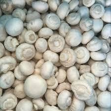 Frozen IQF Champignon Mushrooms Form Whole Size 3-5cm Shape Whole Place of Origin South Africa Shelf Life 24 Months Under -18°c - Chezlynne Trading (Pty) Ltd  - South Africa