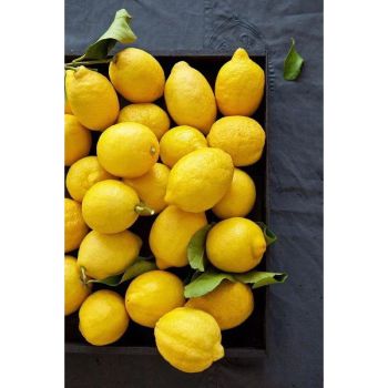 Fresh Eureka Lemon From THAI Color Yellow Harvest Time Sep Shelf Life 2 YEARS Features Gluten-Free Aroma Strong Fragrance -  DAEWKAEW PANTAMANG Co., Ltd - Thailand