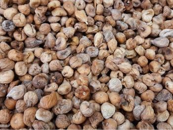 Dried Mountain Fig from Aydın/Turkey - GOLDEN APRICOTS - Turkey